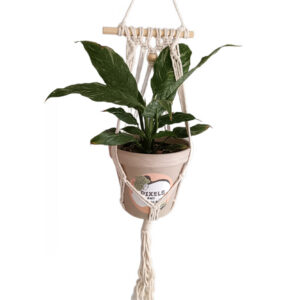45cm White Macrame Plant Hanger