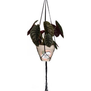 1.2m Black Macrame Plant Hanger