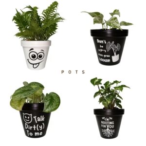 Plant Pots