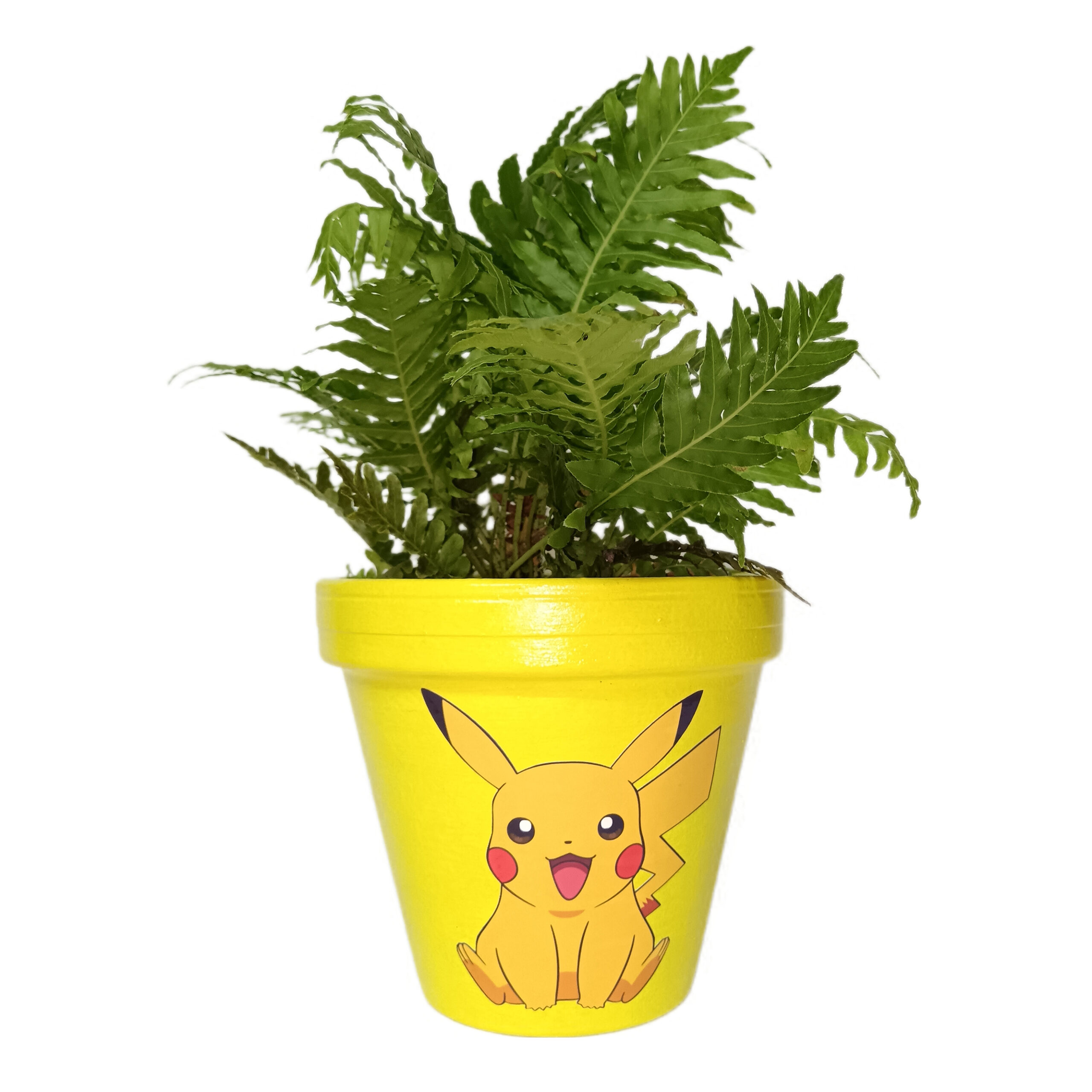 photostudio_1748534973474