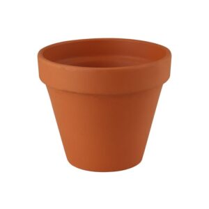 Standard Terracotta Custom Painted Pots - Detailed Design