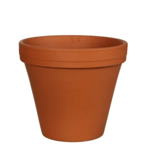 Raw Terracotta Pots