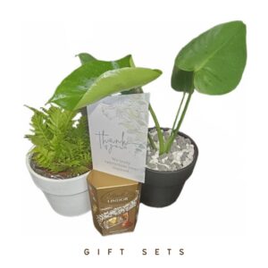 Gift Sets